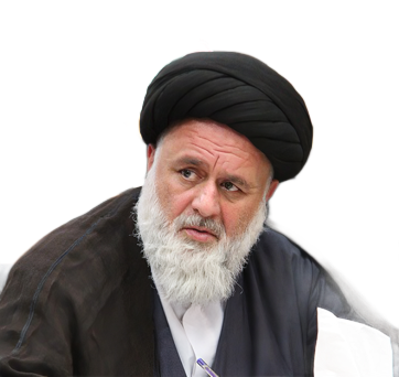 حجت‌الاسلام دکتر سید محمود وزیری