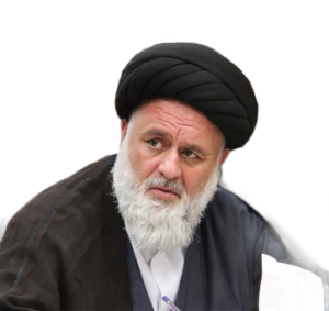 حجت‌الاسلام دکتر سید محمود وزیری